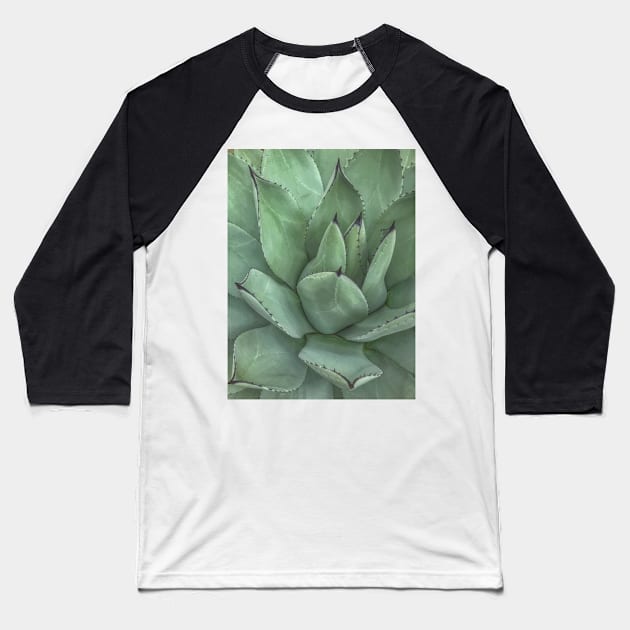 Succulent Photo Baseball T-Shirt by Rosemogo